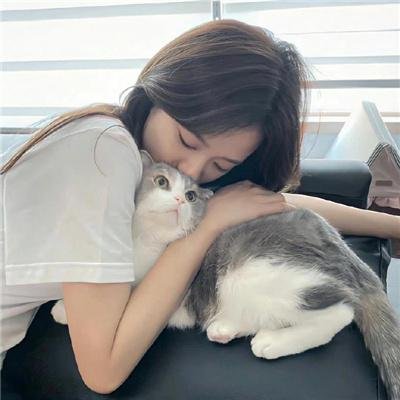 杀破狼