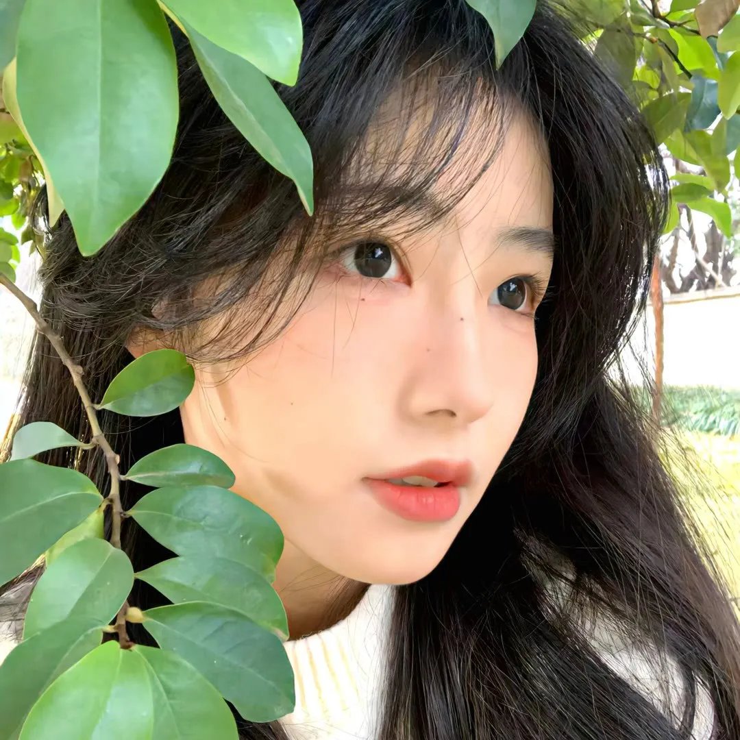 冠军的心